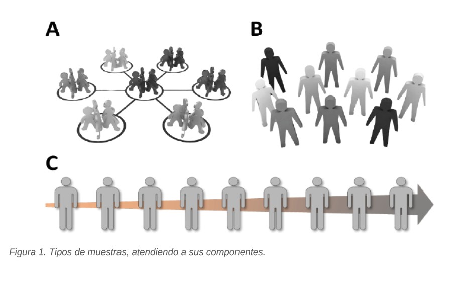 Figura 1. Tipos de muestras, atendiendo a sus componentes.